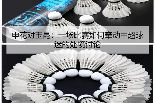 申花对玉昆：一场比赛如何牵动中超球迷的处境讨论